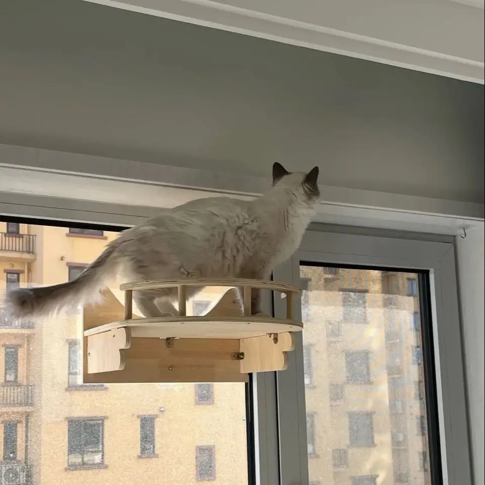 Tirador de madera maciza para gatos, muebles para mascotas, pared de escalada para gatos, combinación de Sisal, escaleras para gatos de cuatro escalones, cara de gato, nuevo Pedal - imagen 4