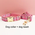 collar and leash set