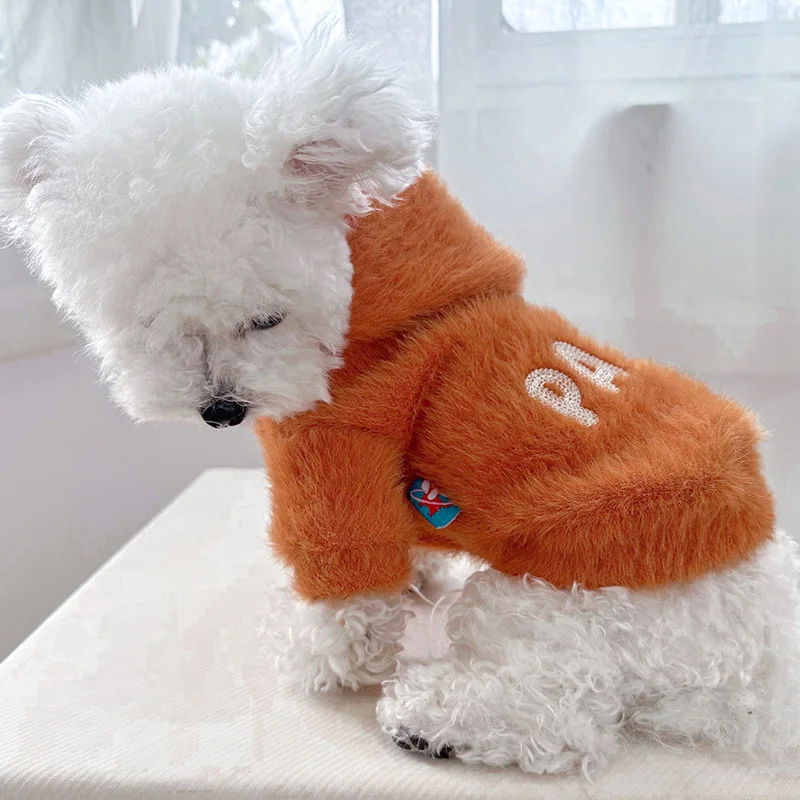 Ropa de peluche para gato mascota, otoño e invierno, marioneta Garfield, suéter de dos patas con letras de gato azul jengibre engrosado - imagen 2
