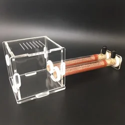 Hormiguero de bambú para criar hormigas – Tubo con área de alimentación