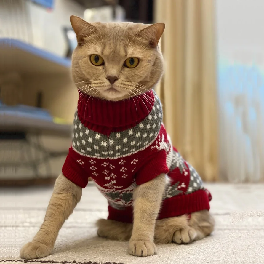 Lindo suéter de gato Sphynx, jersey, ropa cálida de invierno para mascotas, disfraz de gatito Kedi, ropa para cachorros, Mascotas, ropa para gatos - imagen 3
