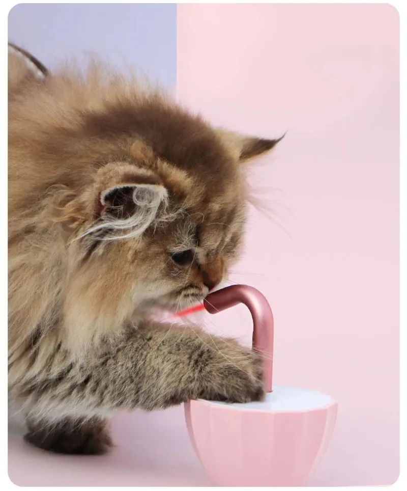 Un gatito bebiendo de una taza rosa