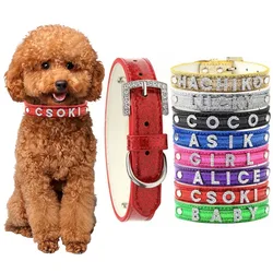 Collar para perros y gatos con etiqueta de nombre - cuero y diamantes