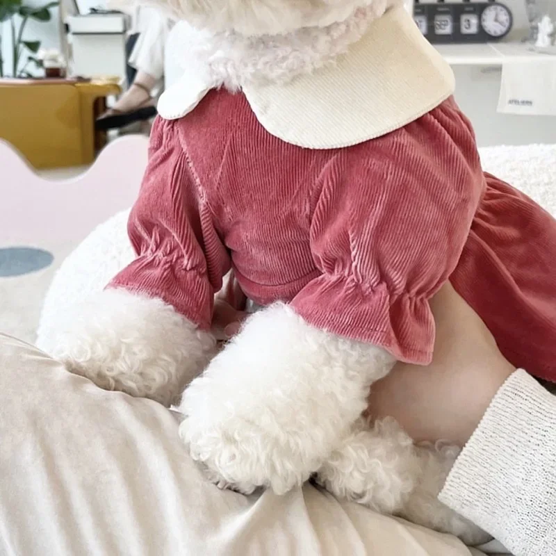 Vestido de terciopelo de otoño para mascotas, cuello de muñeca, vestido de princesa, oso de peluche, Yorkshire, gato, ropa pequeña, ropa de Navidad para perros pequeños - imagen 5