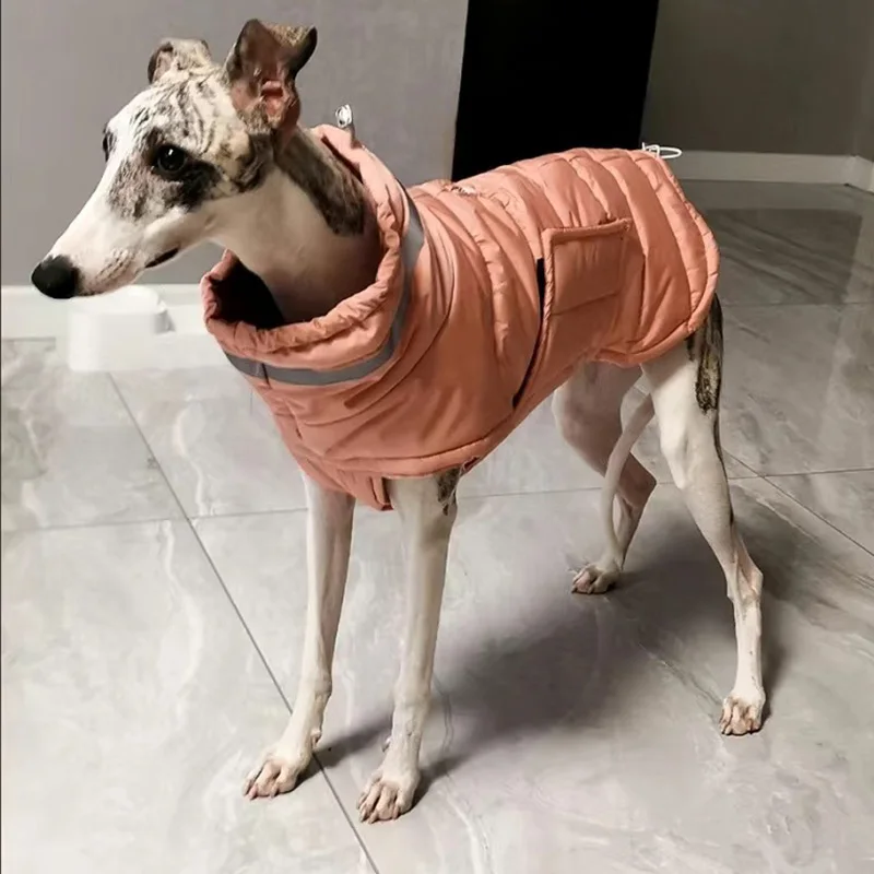 Ropa cortavientos para mascotas, chaqueta gruesa y cálida de invierno para perros pequeños y medianos, abrigos Whippet Greyhound, ropa para mascotas - imagen 5