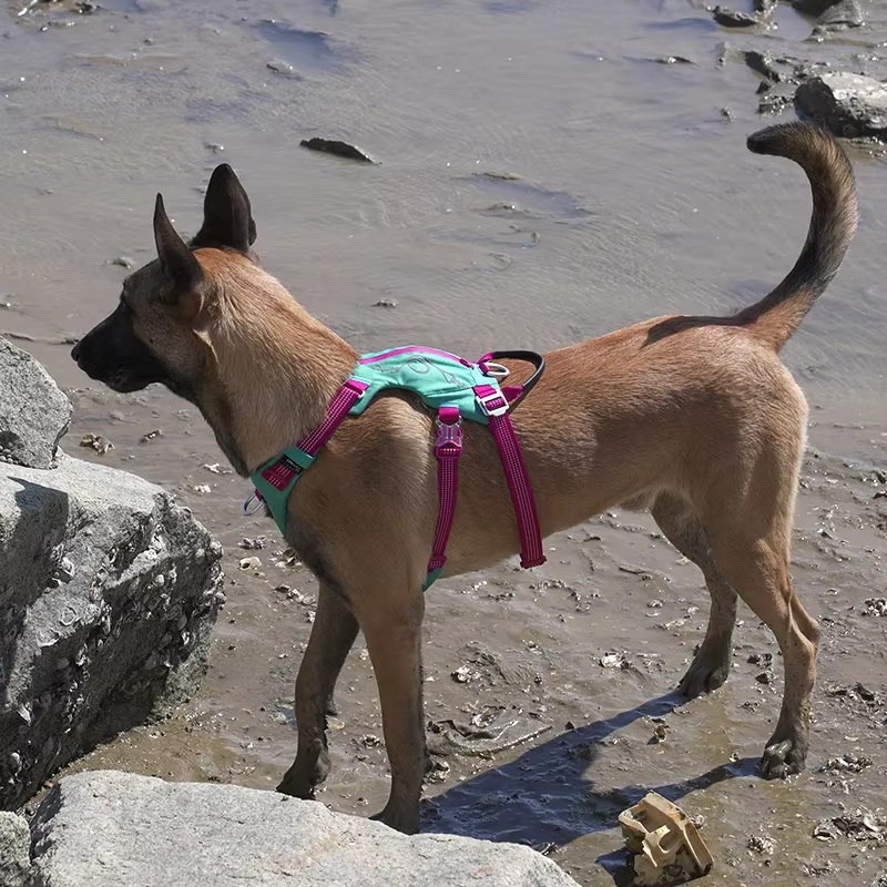 Arnés para perro con mochila – Chaleco táctico reflectante - imagen 4