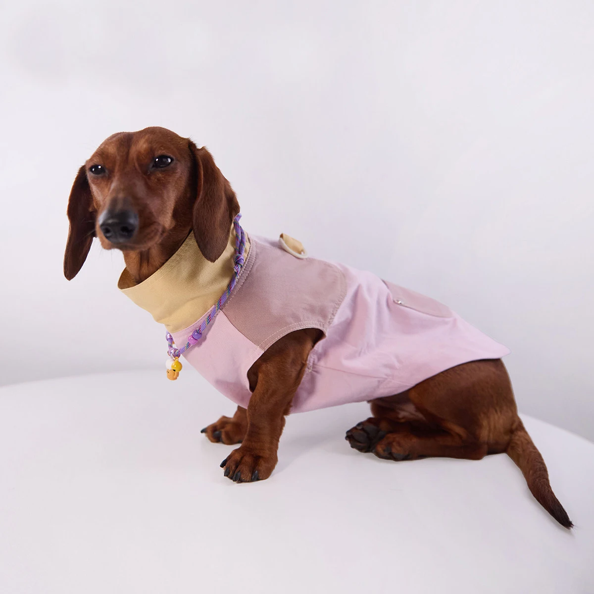 Camiseta de primavera para perros salchicha – Abrigo suave sin mangas - imagen 2