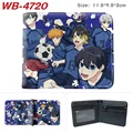 WB-4720