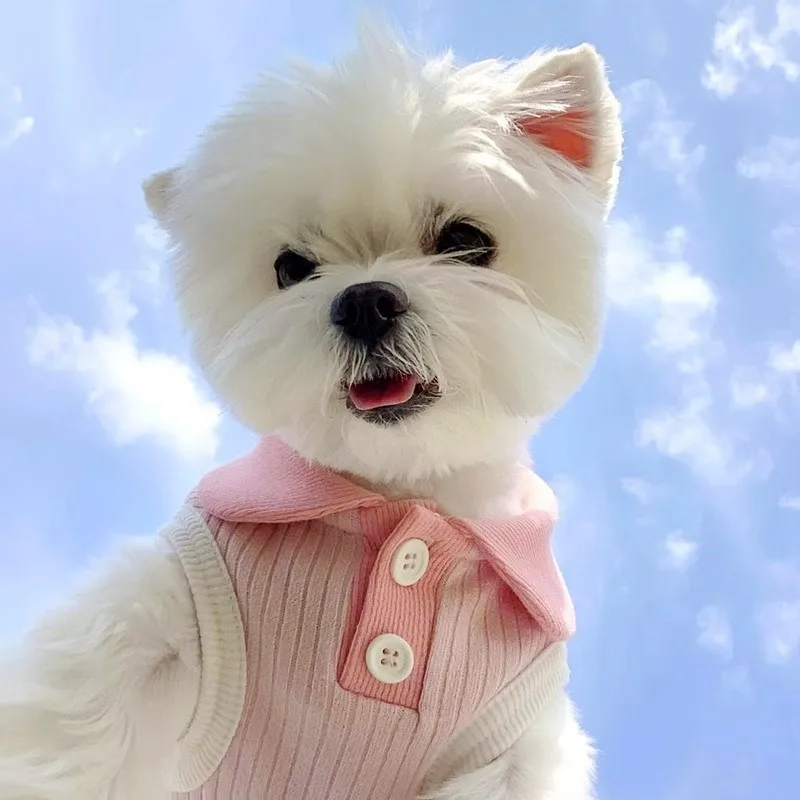 Ropa de verano para cachorros, Polo para perros 2025, chaleco refrescante para perros pequeños, gatos, Chihuahua Yorkie Bichon, ropa para niñas, camiseta para perros - imagen 3