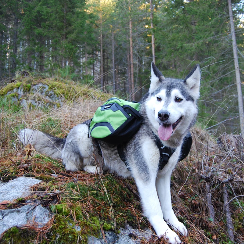 Winhyepet Hundegeschirr mit Rucksack, Heimtierbedarf, reflektierendes Hundegeschirr für große und kleine Reisen, Sport, Heimarbeit, Hundezubehör - imagen 5