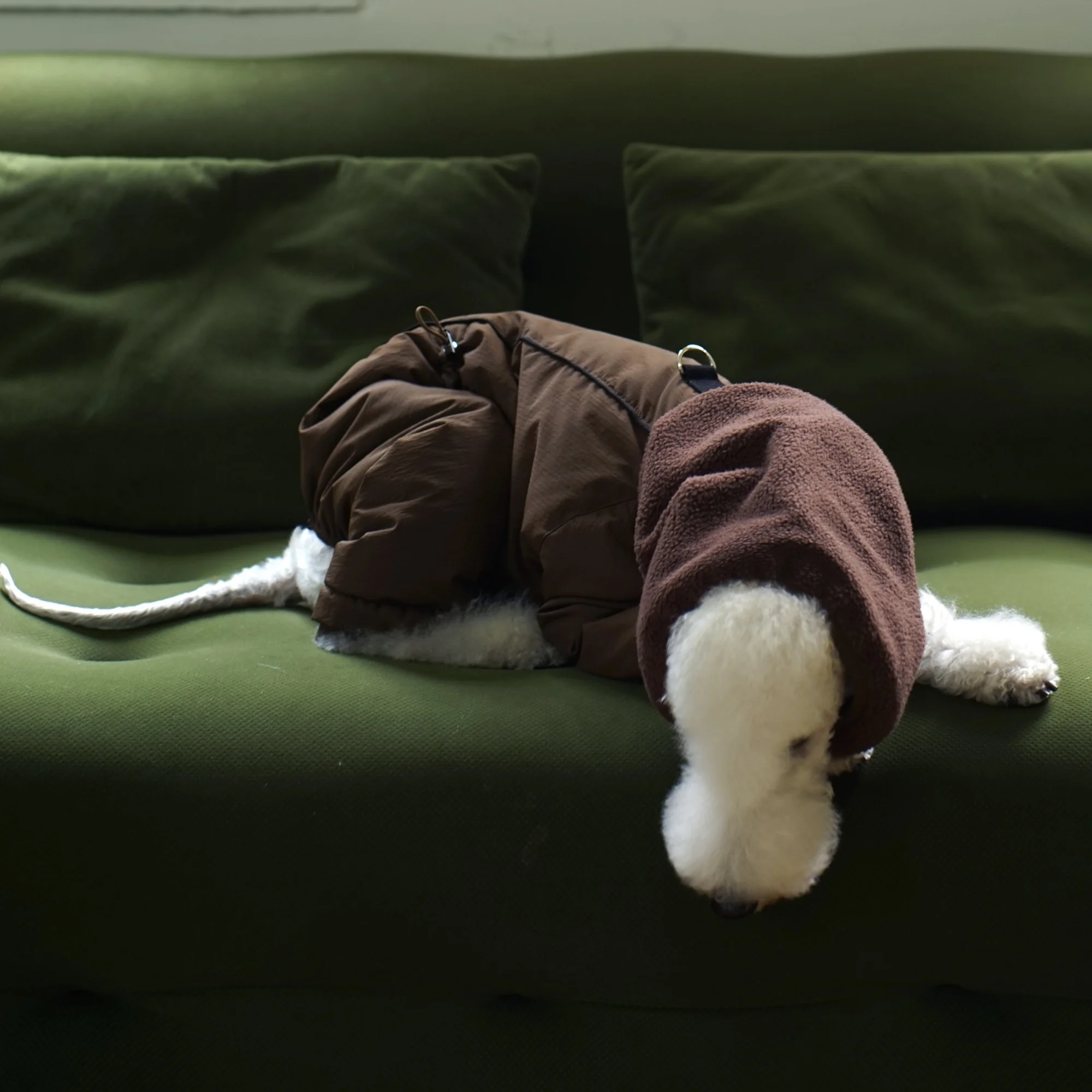 Abrigo grueso y cálido para perros medianos en invierno, chaqueta de café impermeable a prueba de viento, bufanda de lana, traje para Bedlington en clima frío - imagen 2