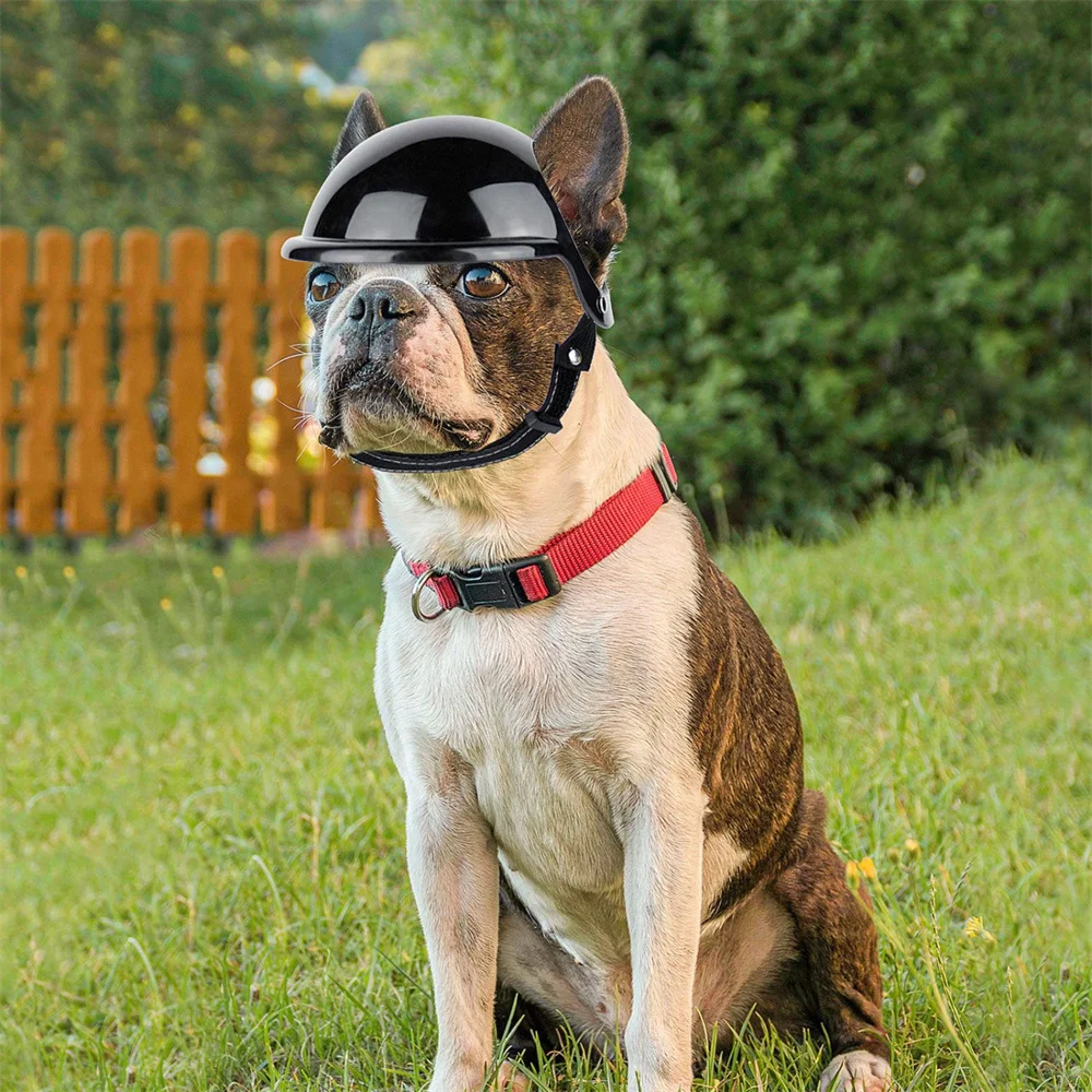 Casco de seguridad para perros pequeños y medianos, Cool, Bulldog Francés, Doberman Pinscher, cascos ajustables para motocicleta, accesorios para mascotas - imagen 3