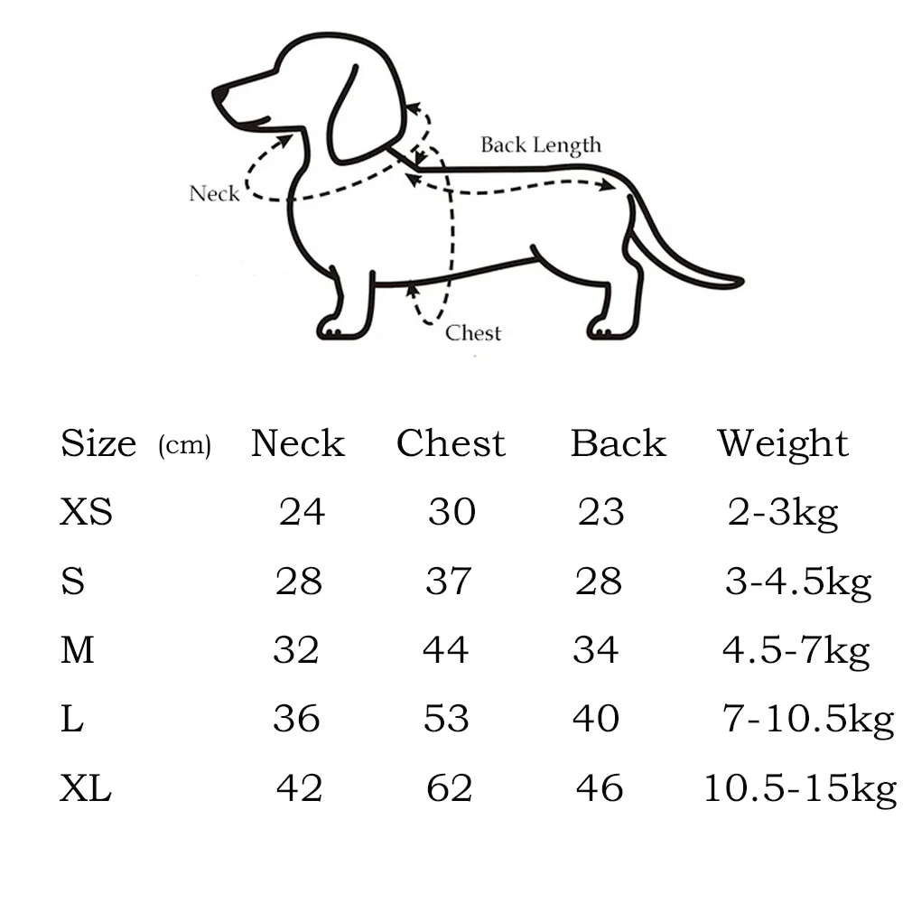 Suéter rojo para perros Wiener en uso