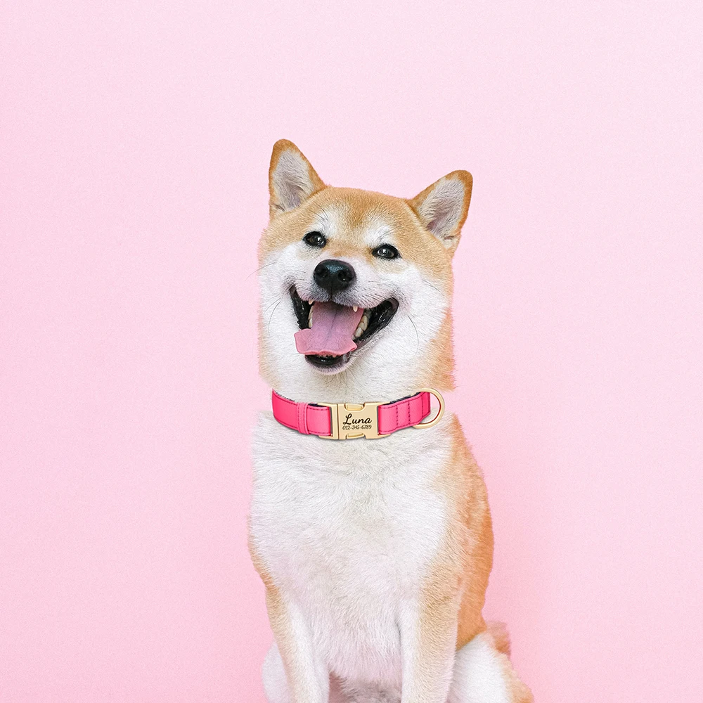 Collar personalizado para perro con placa identificativa - imagen 5