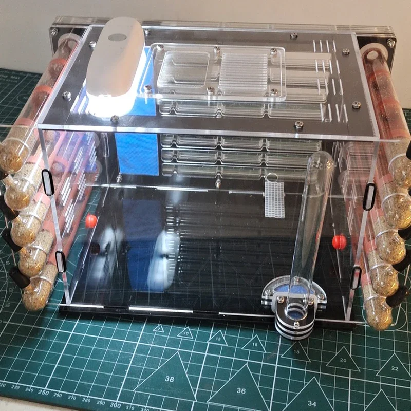 Granja de hormigas acrílicas, tubo de ensayo de bambú DIY, nido de hormigas, insecto, Hotel, mascota, antill, pueblo con gran área de caza, casa de hormigas, perrera, taller - imagen 4