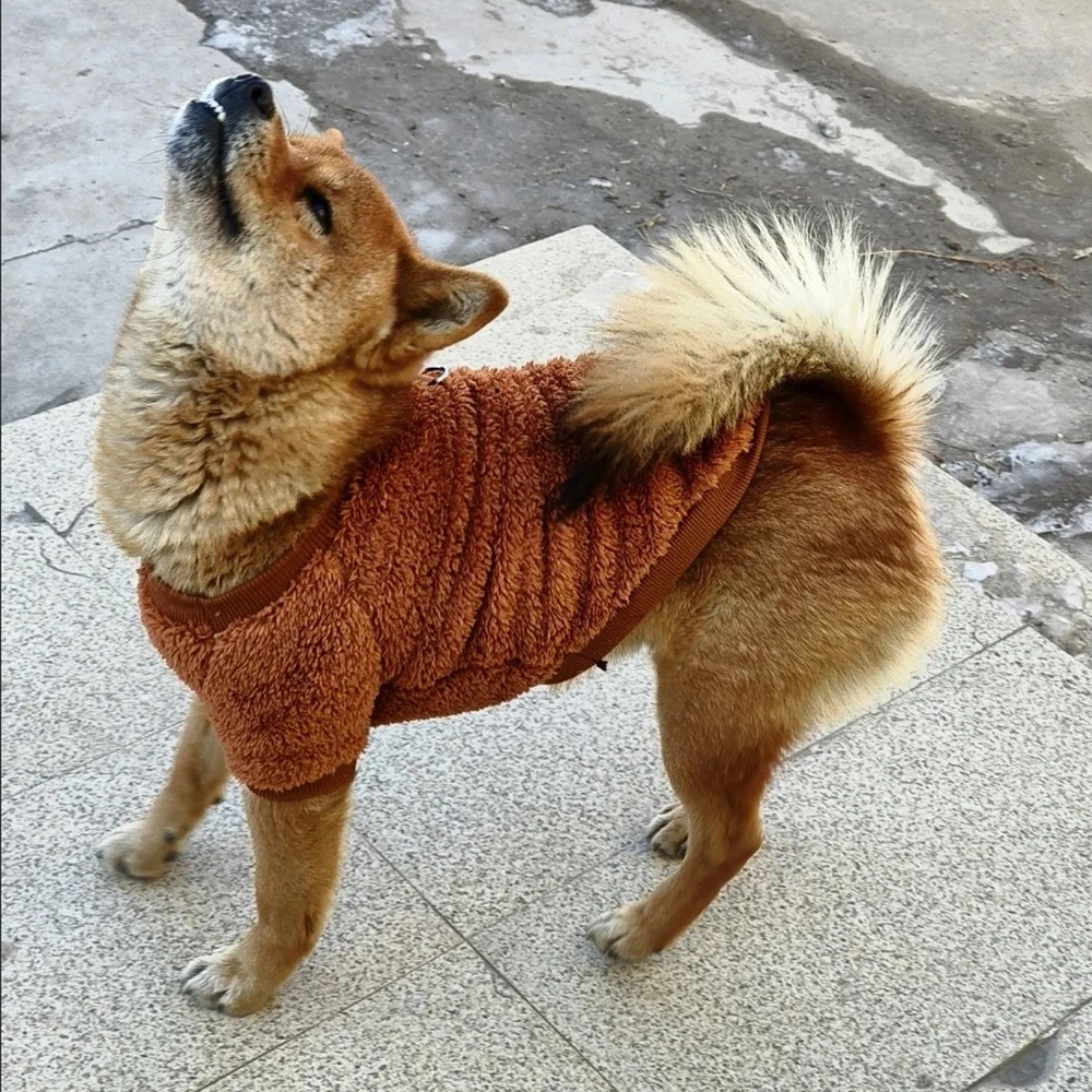 Sudadera cálida de lana sin capucha para perros pequeños y gatos, suéter para mascotas de otoño e invierno con anillo de tracción, ropa para cachorros - imagen 5