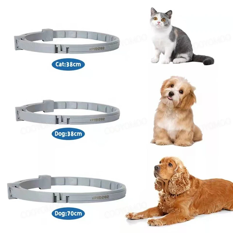 Collar ajustable para gatos y perros pequeños - Accesorios Mascotas - imagen 3
