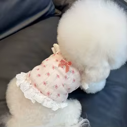 Ropa para perros pequeños y gatos: falda de encaje transpirable