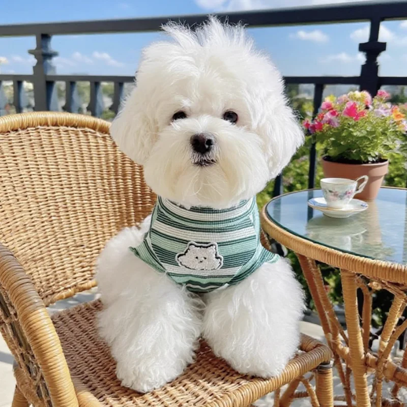 Ropa suave de otoño para perros, camisa a rayas a la moda para perros, bonitos jerseys de encaje para cachorros, camiseta con parte inferior para gatos, chaleco para mascotas, trajes de Bichon para caniche - imagen 2