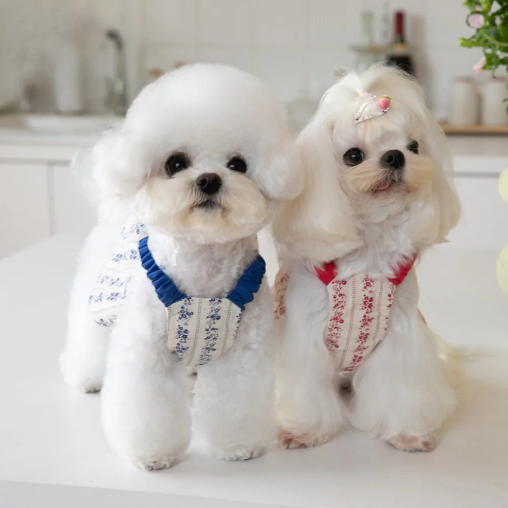 Robe courte à bretelles florales pour animaux de compagnie, robe mignonne pour chat et chien, vêtements pour animaux de compagnie Teddy INS, vêtements pour chiots, robes pour petits chiens - imagen 3