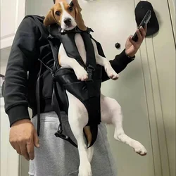 Mochila transportadora envolvente para perros pequeños y gatos