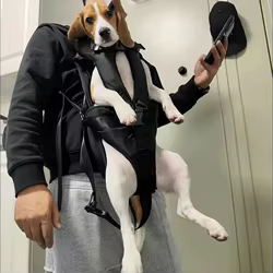 Mochila transportadora envolvente para perros pequeños y gatos