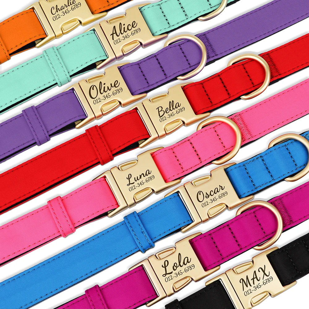 Collar de perro personalizado, conjunto de correa, Collar de nailon duradero para perro, collares para cachorros con grabado gratis con plomo resistente al agua para perros Pug - imagen 3