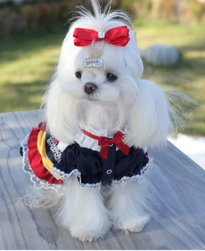 Lindo vestido de perro Lolita con lazo para razas pequeñas, vestido para mascotas, vestido de tul para perros, vestido tutú de princesa para mascotas, ropa de fiesta para perros - imagen 5