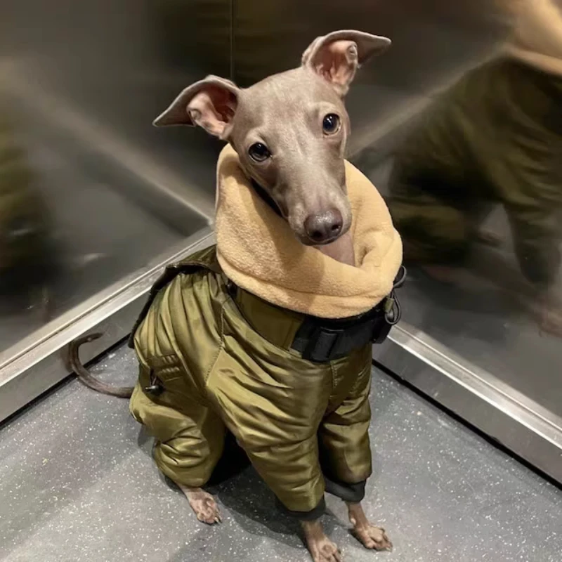 Ropa de invierno para perros, ropa cálida a prueba de viento para perros, abrigo grande para perros, monos, accesorios, mono, producto de galgo para perros flacos - imagen 4