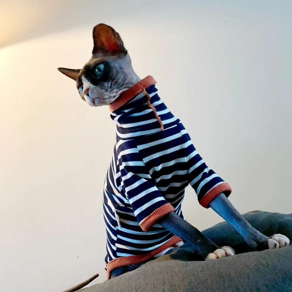 Camiseta de capa Base a rayas con cuello alto para gato Sphynx, abrigo de manga larga a la moda de otoño para gatos masculinos, sudadera negra para gatitos