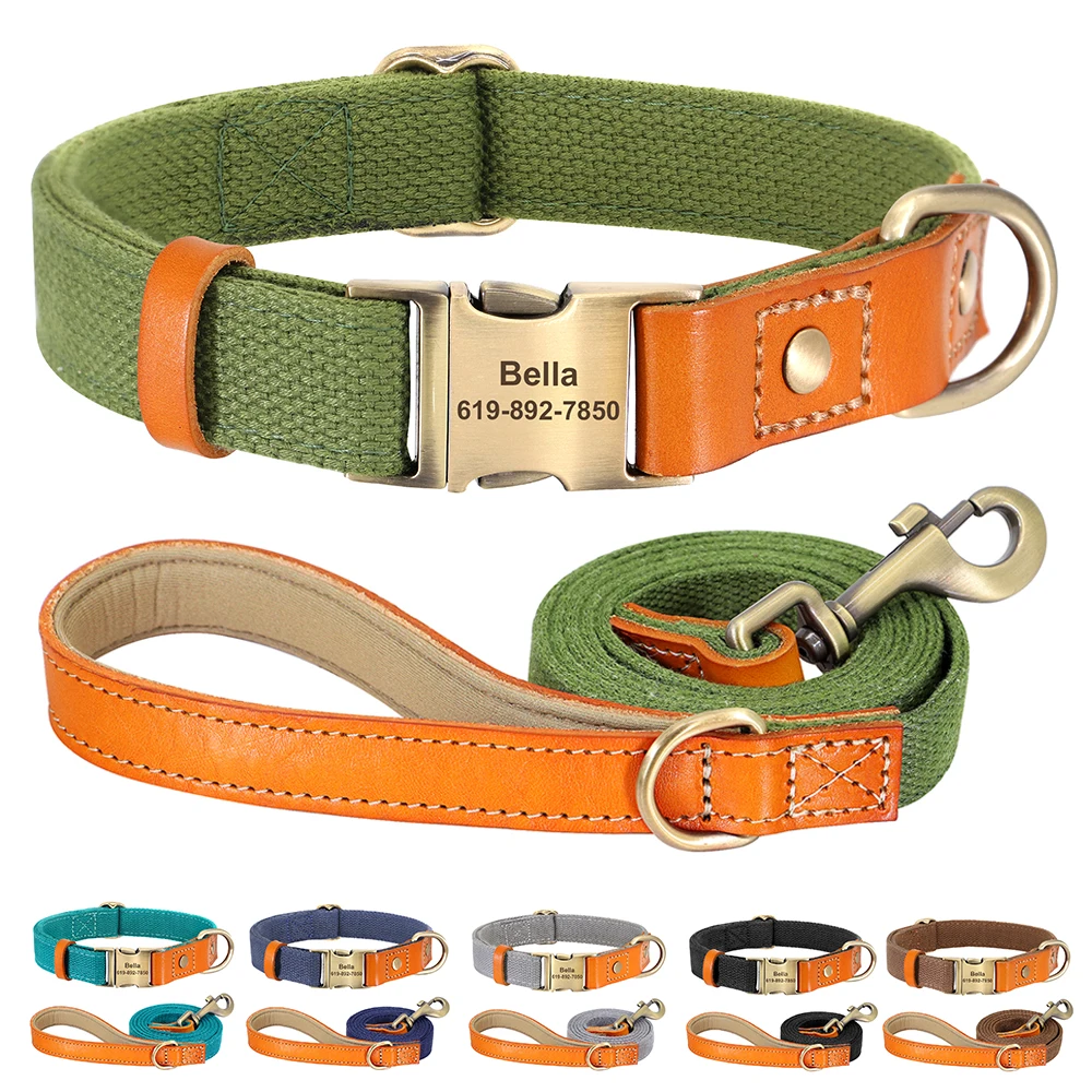 Conjunto collar correa perro - vista principal