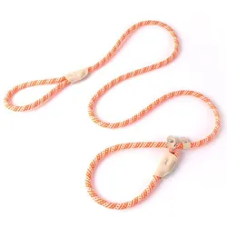 Correa anti-escape y collar de entrenamiento para perros