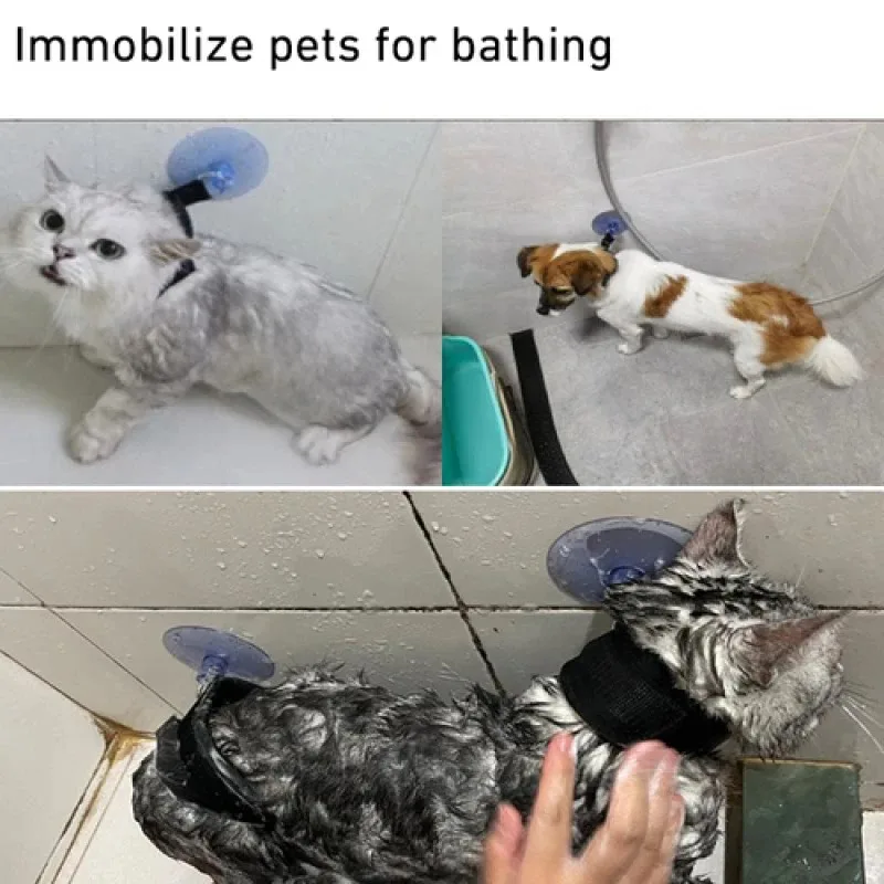 Accesorio de ducha para perros y gatos pequeños, Collar fijo, limpieza de belleza, adsorción de baño, Collar fijo para gatos, accesorios de ducha para mascotas - imagen 3