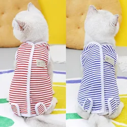 Mono post-operatorio para perros y gatos – Protección tras cirugía