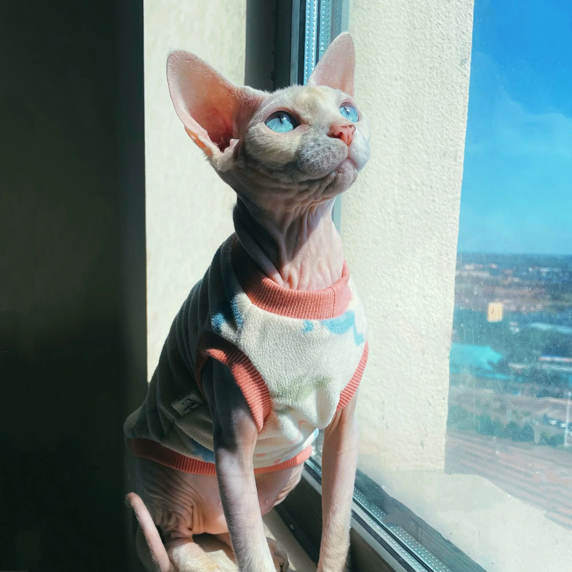 Suéter de dinosaurio de felpa suave para gatos Sphynx en otoño, abrigo de osito de dibujos animados de manga corta para Devon Rex, sudadera de invierno para mascotas, pijamas cálidos para gatitos en clima frío - imagen 3