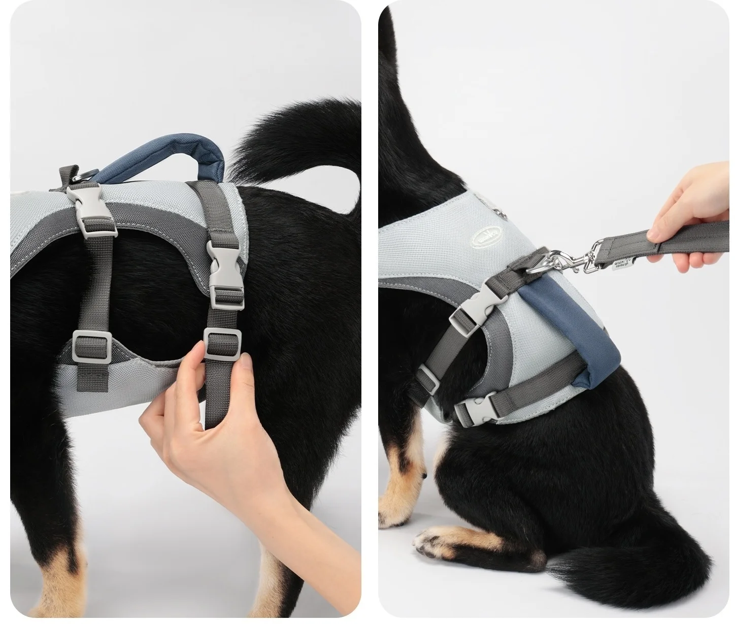 Arnés para perros con juego de correa, chaleco para perros fresco y transpirable con mango acolchado, arnés para caminar sin tirar para perros con correa azul - imagen 5