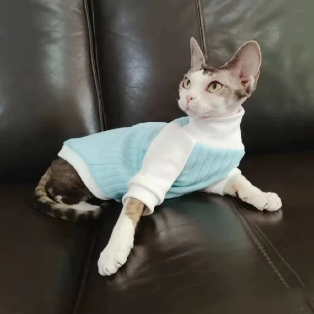 Ropa de cuatro patas Proteger el abdomen para gato sin pelo en primavera Sudadera cálida amarilla para gatitos Abrigo azul claro para esfinge - imagen 4