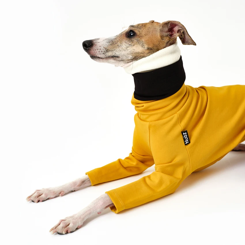 Ropa desmontable multicolor de 2 patas para Italia Greyhound Wellington, sudadera gruesa y cálida de moda para otoño para Whipbit - imagen 3