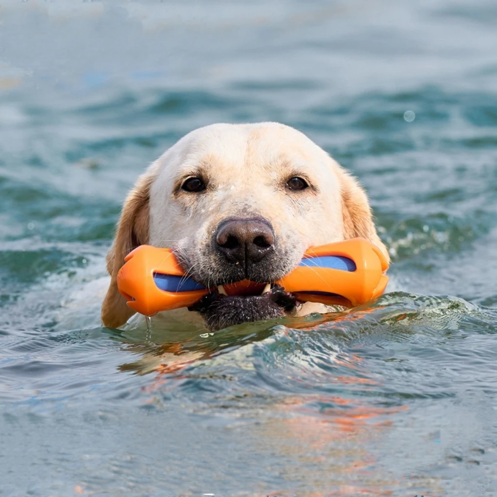 Juguete acuático para perros interactivo, flotante y mordible - imagen 5