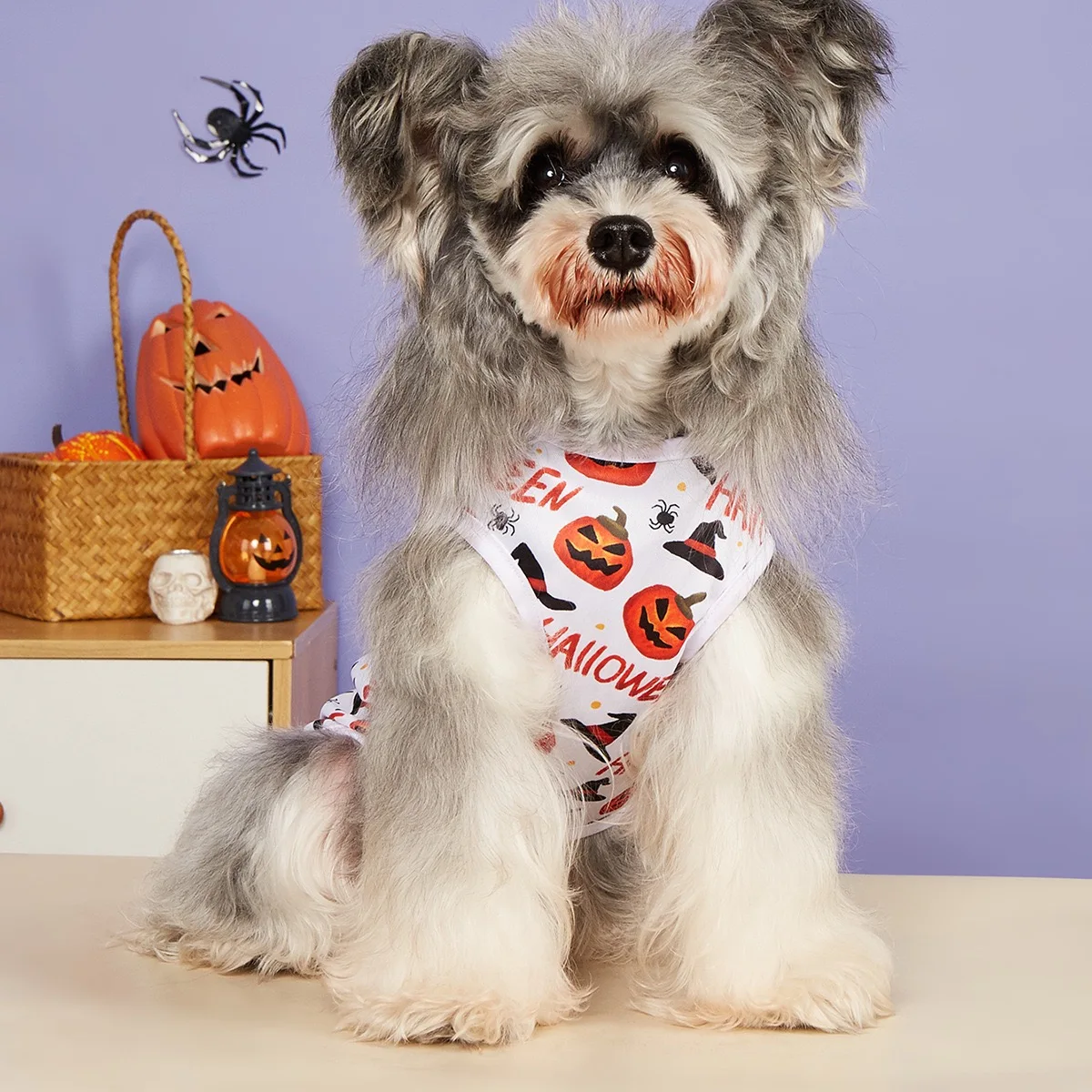 Chaleco de perro Cosplay de dibujos animados, camiseta con estampado completo de calavera y calabaza para fiesta de Halloween, ropa divertida para cachorros de mascota Yorkshire maltés - imagen 2