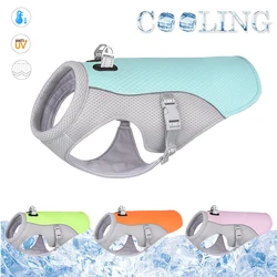 Chaleco enfriador para perros – Confort térmico en verano
