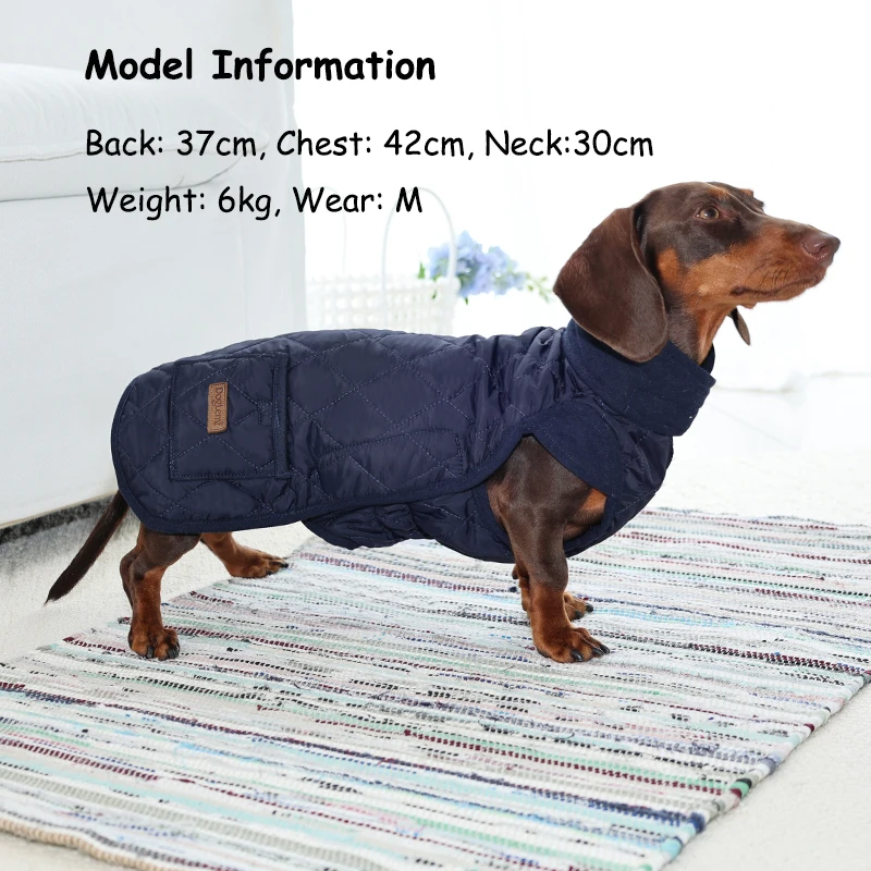 Abrigo de invierno impermeable para perros salchicha cortavientos - imagen 4