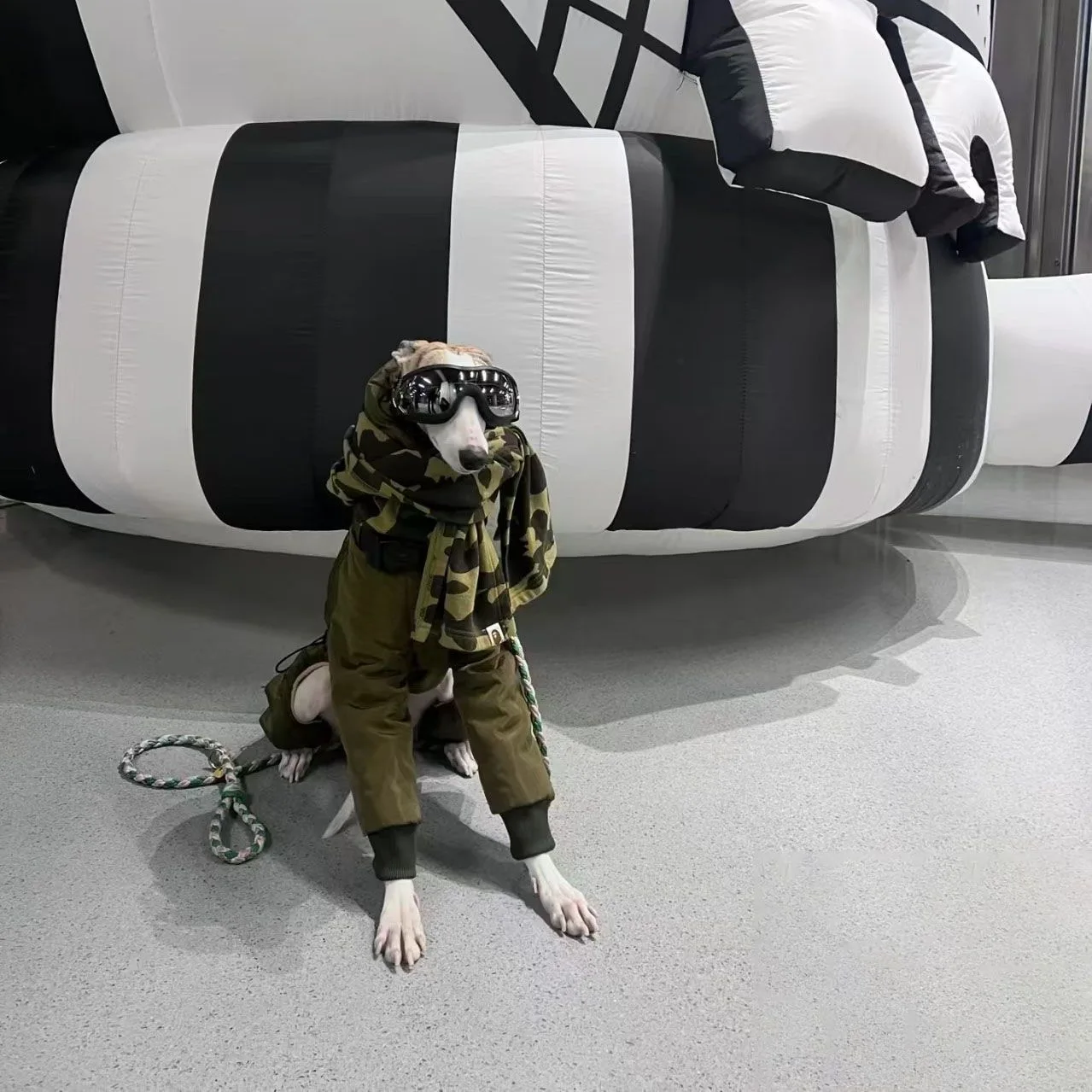 Ropa verde militar Whippet muy gruesa de invierno, abrigo acolchado con cuello de tortuga para perro, Chaqueta de algodón ajustable cálida para galgo italiano - imagen 3