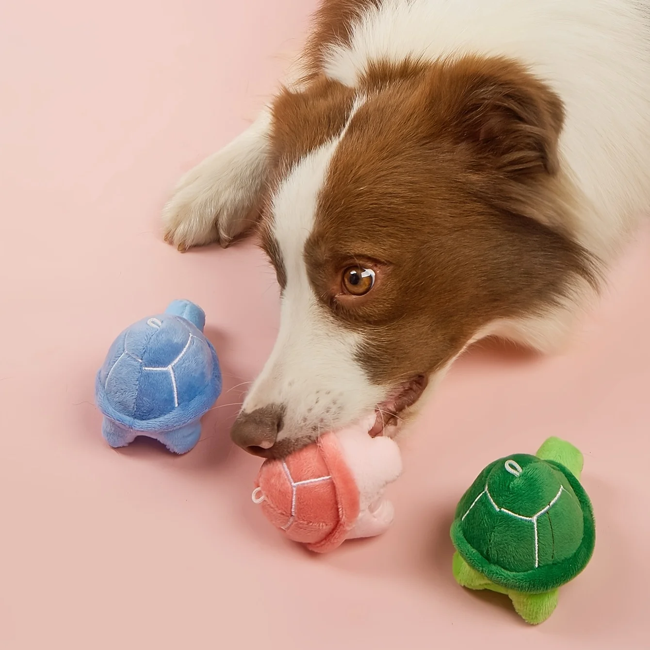 Juguete de peluche en forma de tortuga de Color aleatorio para perros moler los dientes y limpiar los dientes para jugar interactivo, 1 ud. - imagen 3