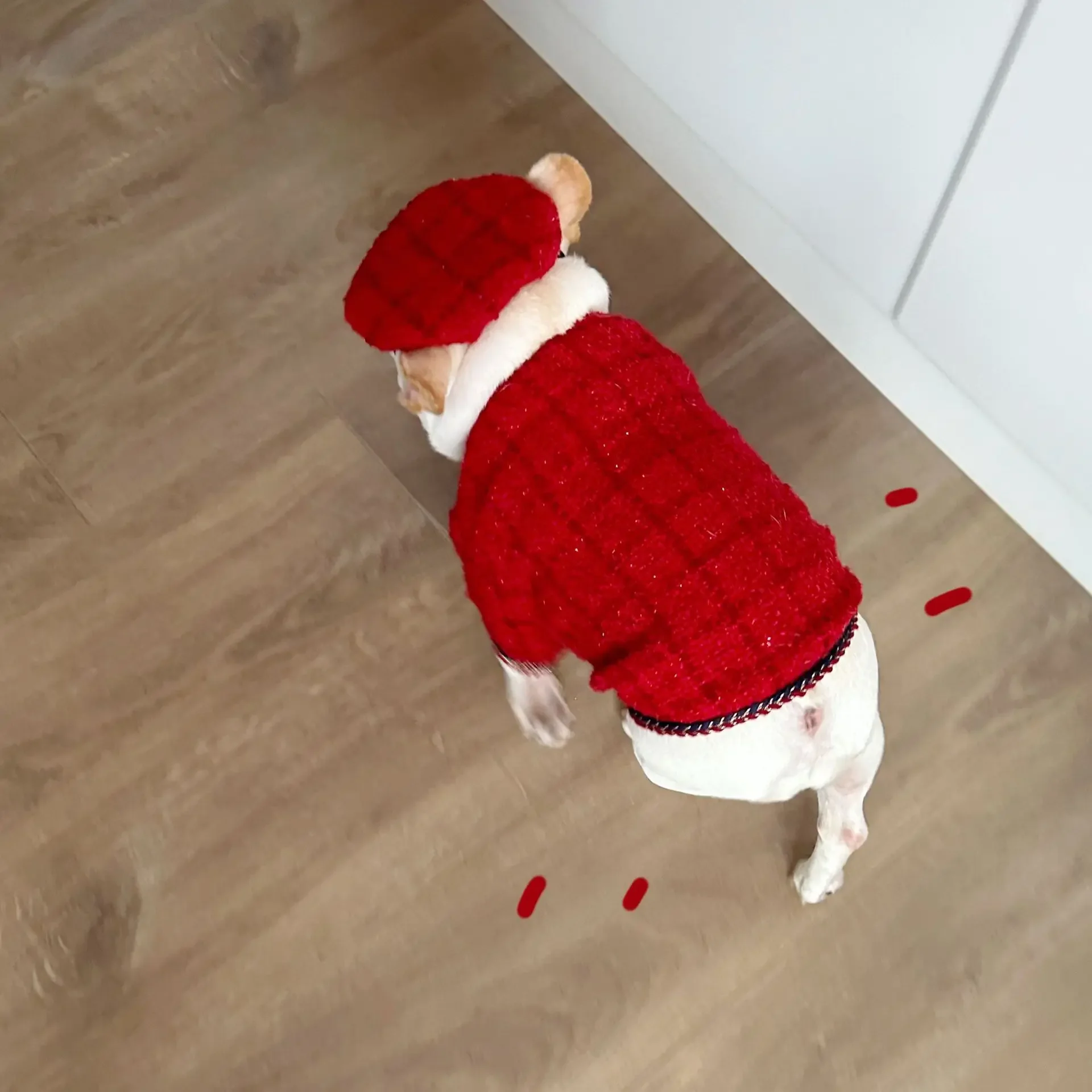 Ropa clásica a cuadros para perro, conjunto de chaqueta y sombrero exquisito para perro, Bulldog Francés, Schnauzer para perro mediano Samll, nuevo, Invierno - imagen 5