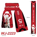 WJ-2223