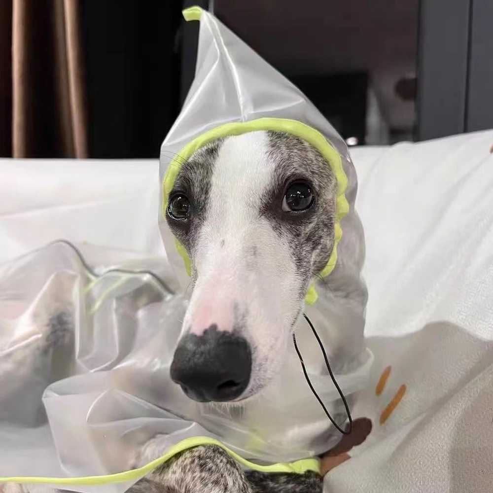 Chubasquero ligero transparente para mascotas, Ropa para perros pequeños, Chubasquero italiano para galgo, accesorios para perros, Ropa De Perro - imagen 3