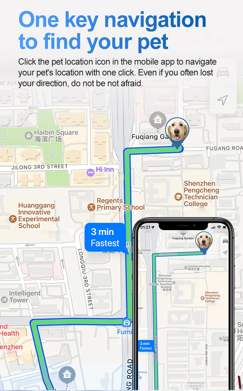 Un mapa de una ciudad con perro