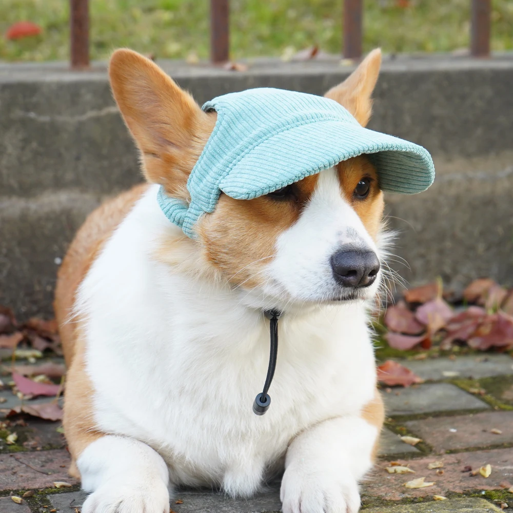 Gorra de pana para perros pequeños – Orificios en orejas - imagen 4