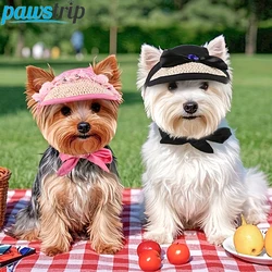 Gorra solar para perros con agujeros para orejas – Protección antiviento